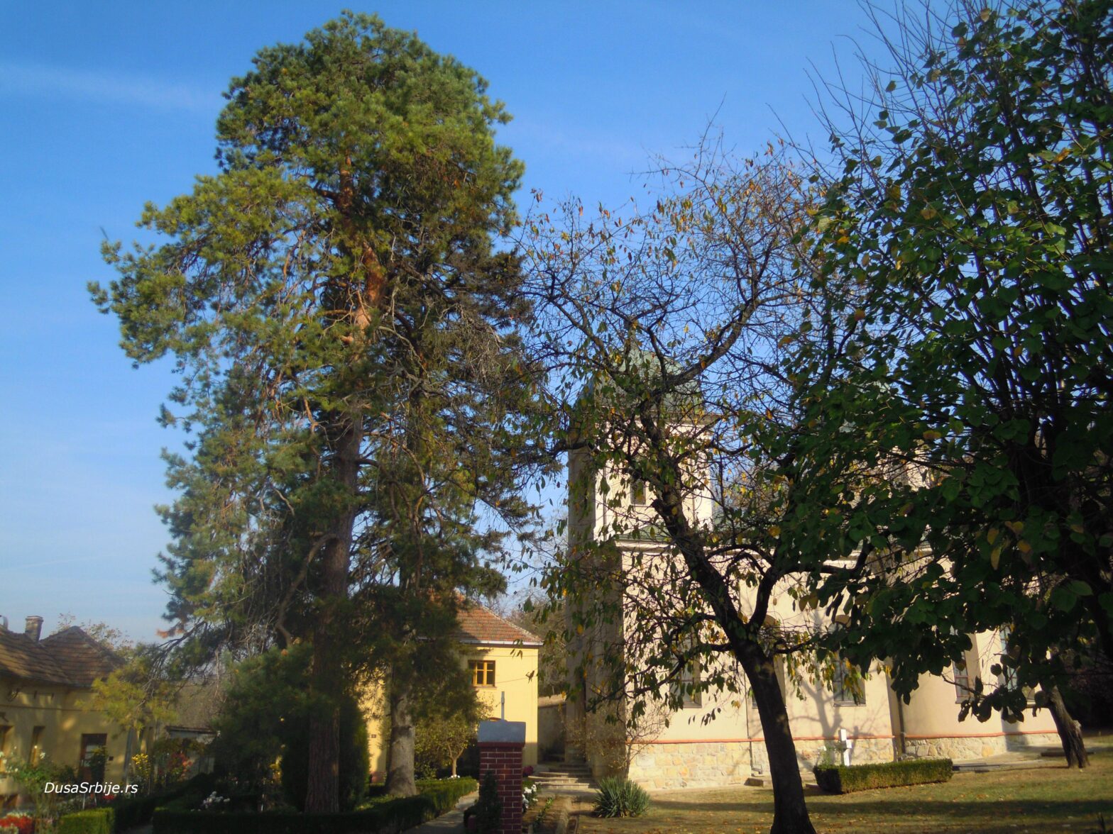 manastir grncarica